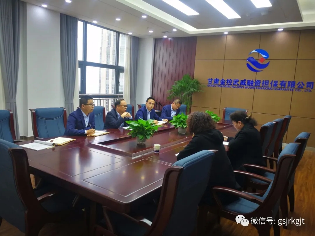 筑牢风控底线 推动风险化解金控武威担保开展融资项目“回头看”