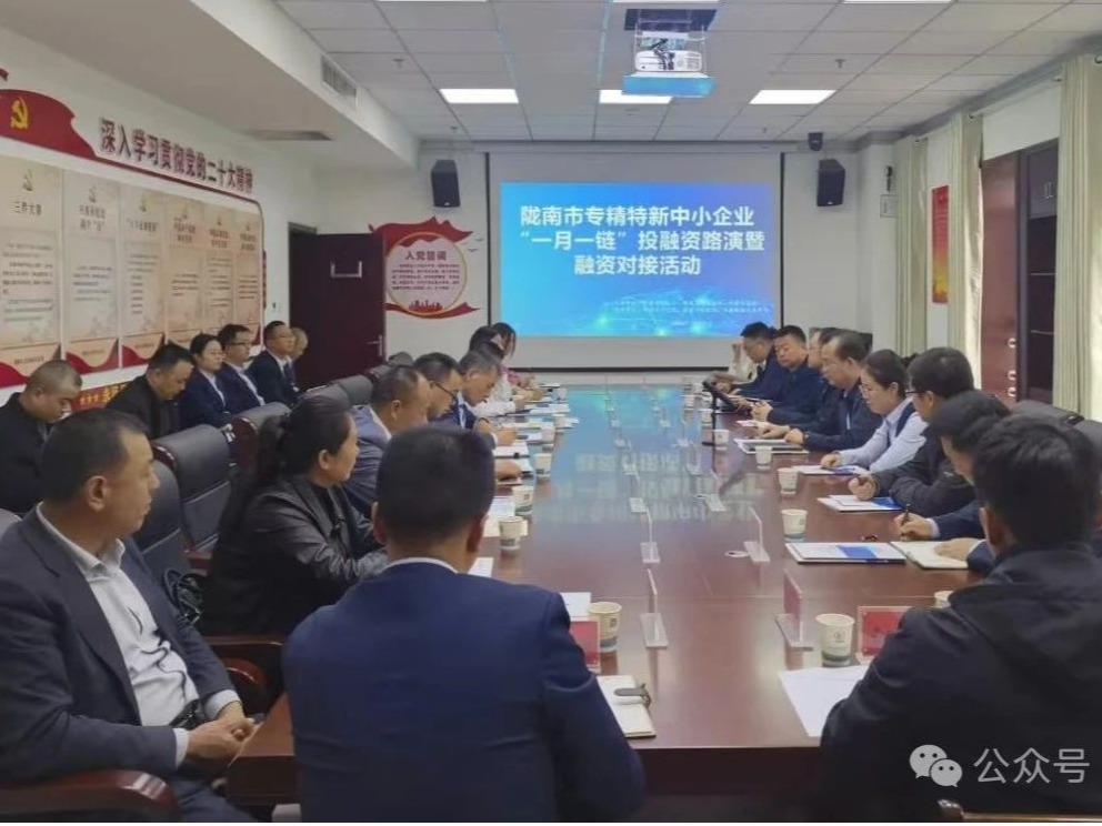 企业动态丨金控陇南担保公司积极参加陇南市投融资路演对接活动 全力支持科创企业融资发展
