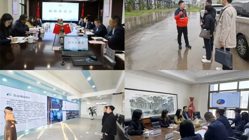 IM在线体育圆满完成“外部董事调研月”工作