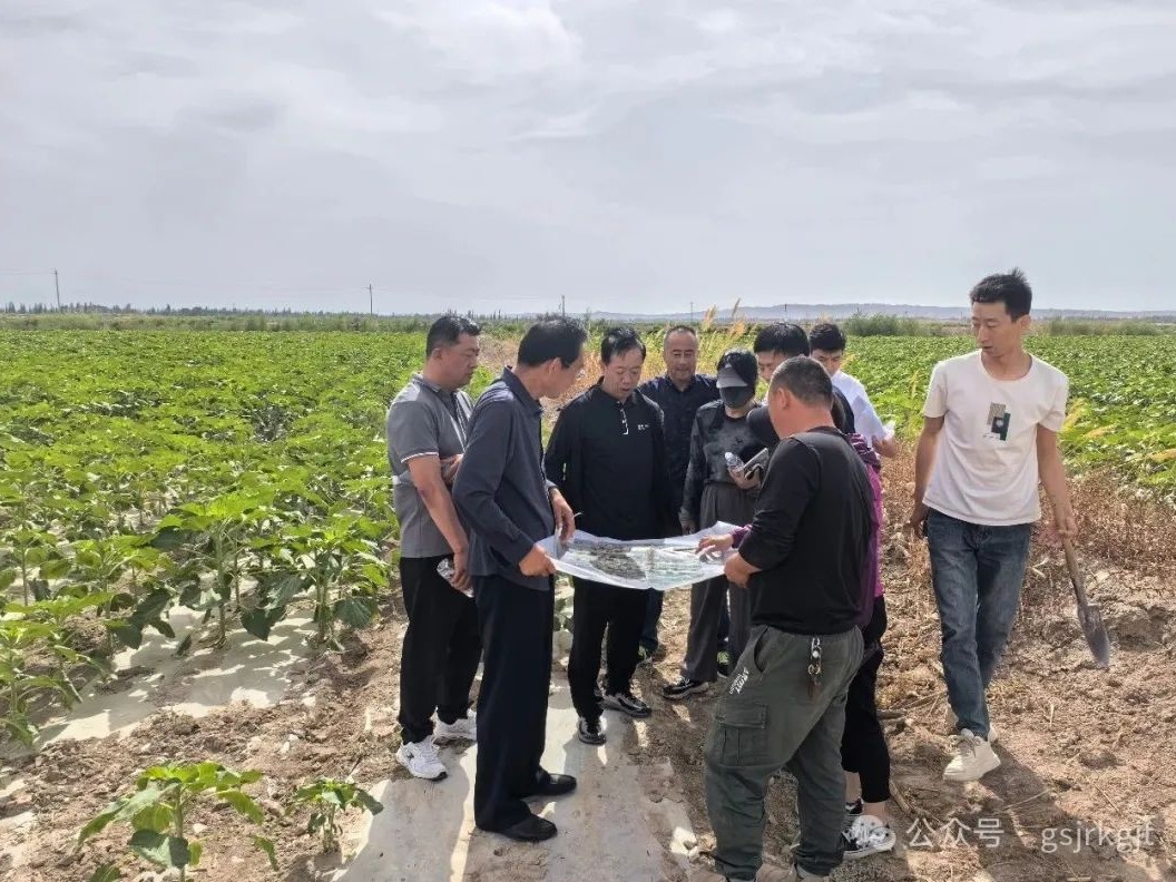 企业动态 | 金控自然生态公司赴瓜州县实地推动项目指标入库工作